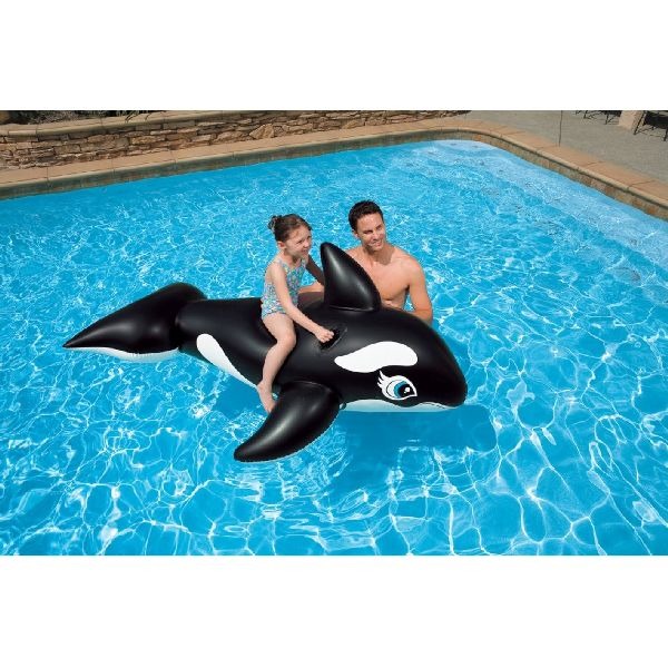 Het grote walvismodel van de walvis