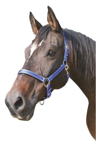 Abi producten mustang halster 2x verst blauwzwart 3 full