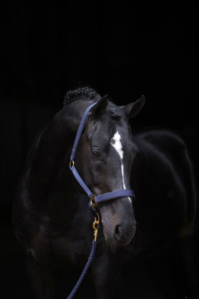 Abi topline halster blauw 1 pony