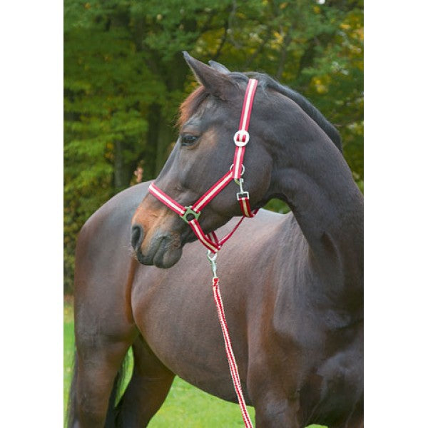 Abi producten hippo halster bordeauxbeige 0 shetland