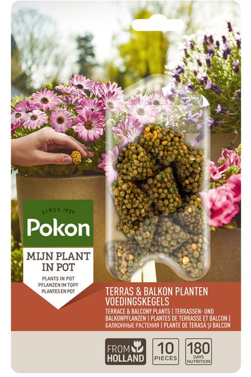 Pokon producten terras balkonplanten voeding langw kegels 10st