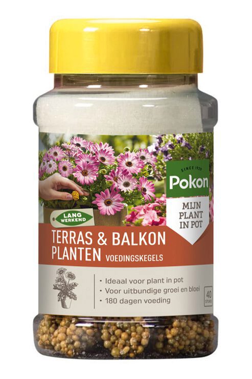 Pokon producten terras balkonplanten voeding langw kegels 40st