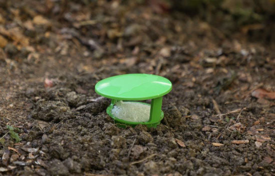 Slakkenval snailbowl 15cm