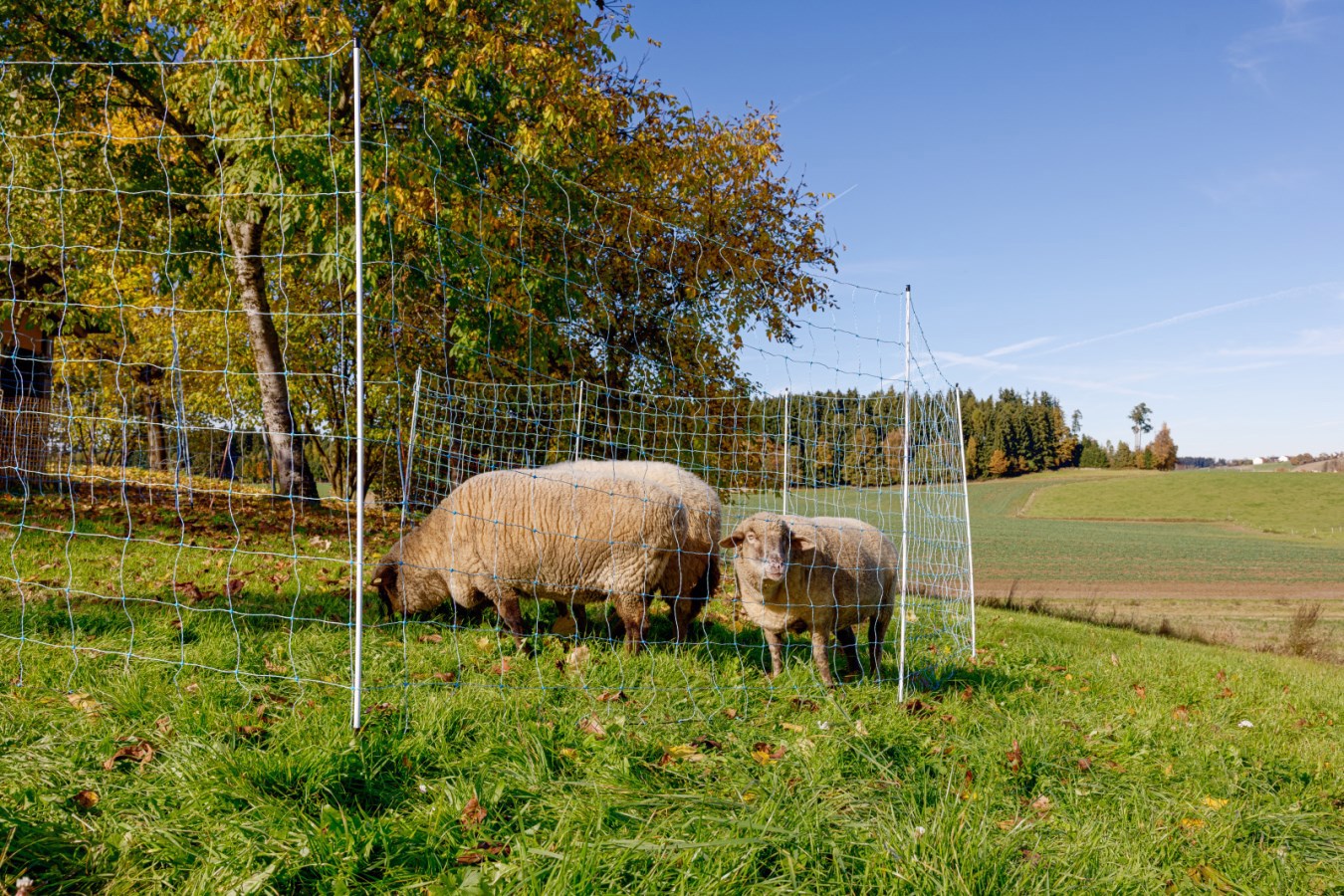 Ako producten schapennet ovinet blauw wit 170cm x 25m dubbele pen