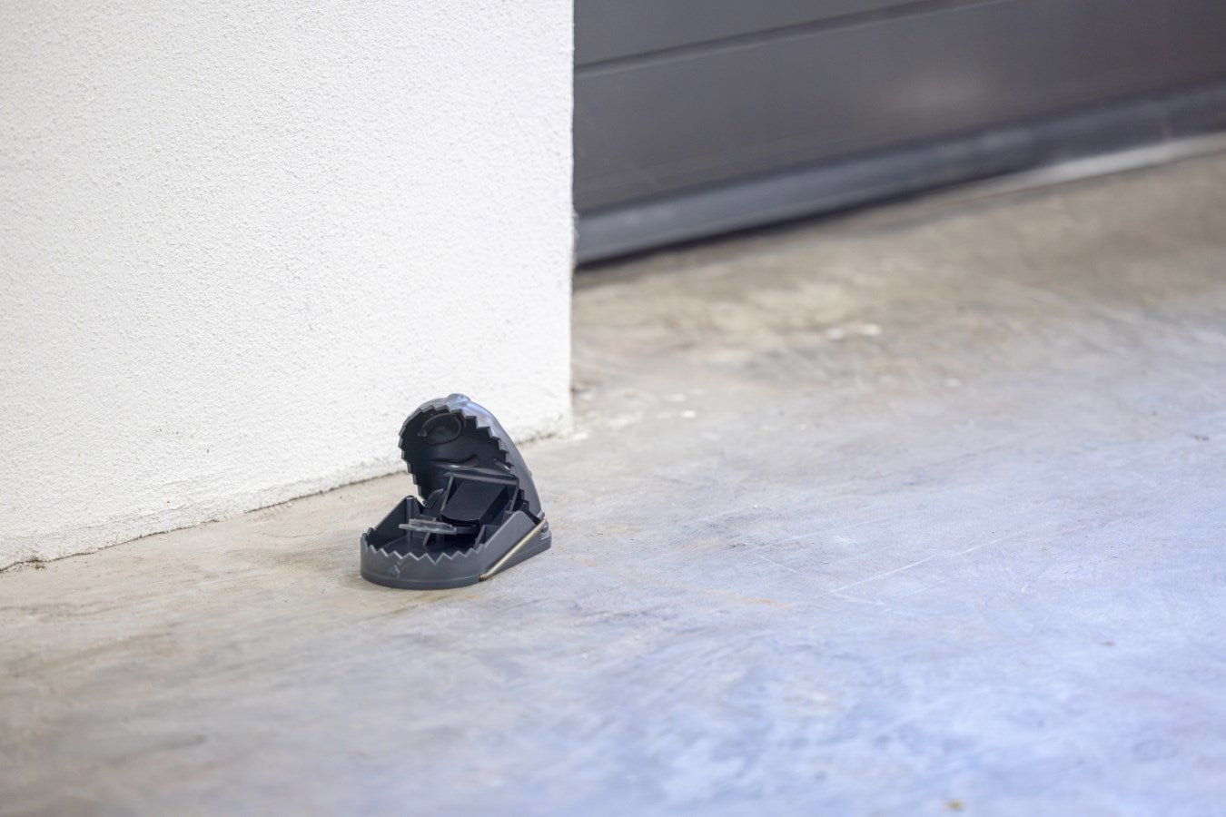 Producten display rattenval kunststof cit ratstop 25 stuks