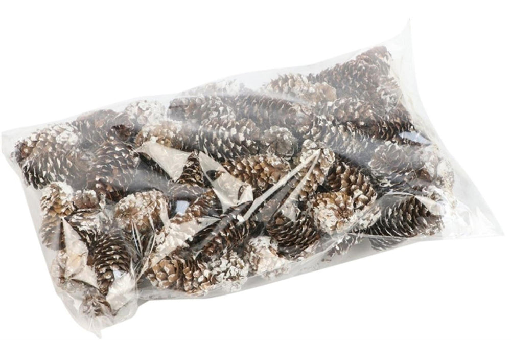 Hbx natural living dennenappel pinecone mini spruce 180g in transparante verpakking