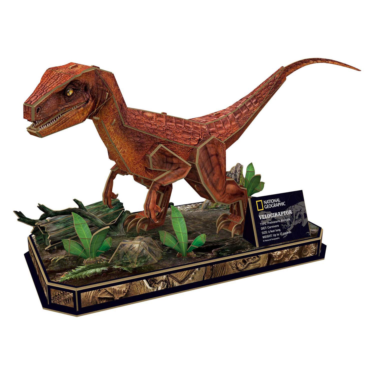 Cubic fun 3d puzzel national geographic velociraptor