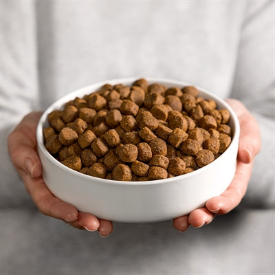 Smolke Hond volwassen graanvrij