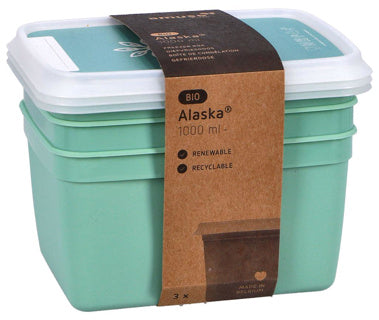 Dbp alaska 3 diepvriesdozen rechthoekig 1.00 l | 2 stuks