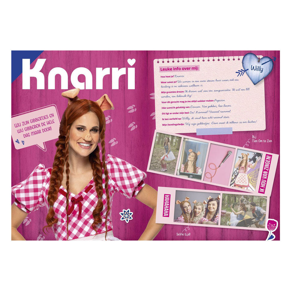 Studio 100 k3: 3 biggetjes fanboek met stickers