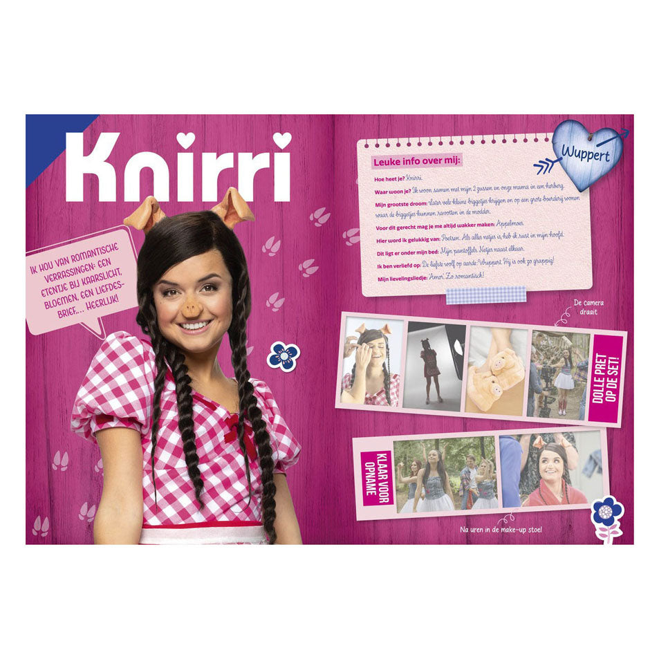 K3 : 3 biggetjes fanboek met stickers