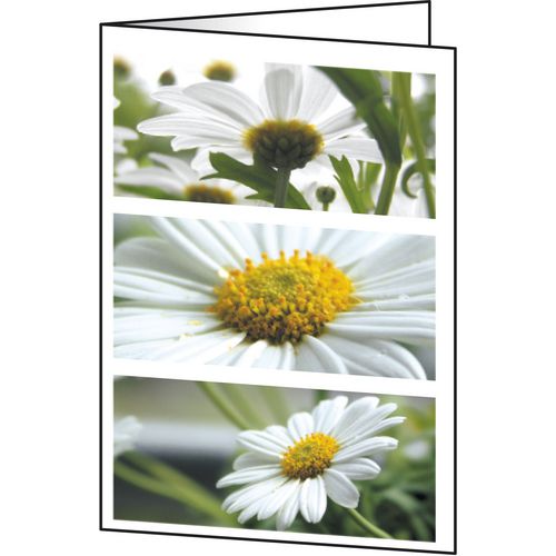 Wenskaarten sigel dc171 bloemen universal 220 g m² assorti 25 stuks