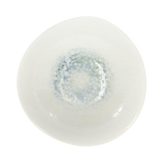 Palmer biologische mineralis schaal ø 15 cm aqua