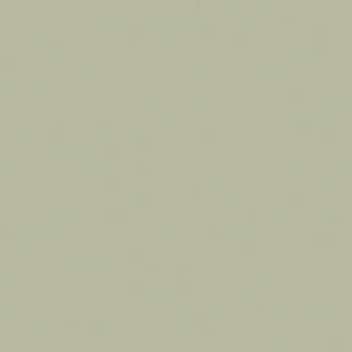 Duni servetten pistachio green 20 stuks 33 x 33 cm | 12 stuks