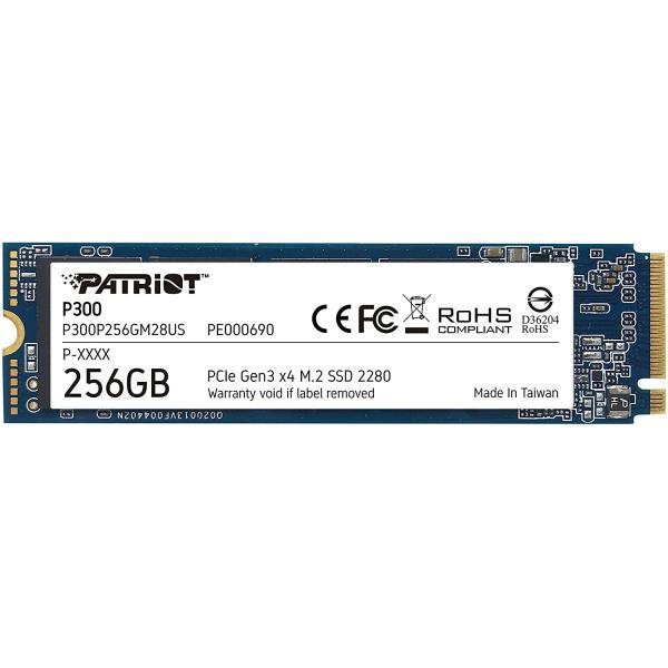 Patriot P300 1TB