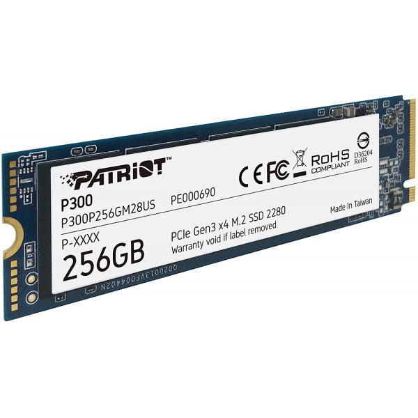 Patriot P300 1TB