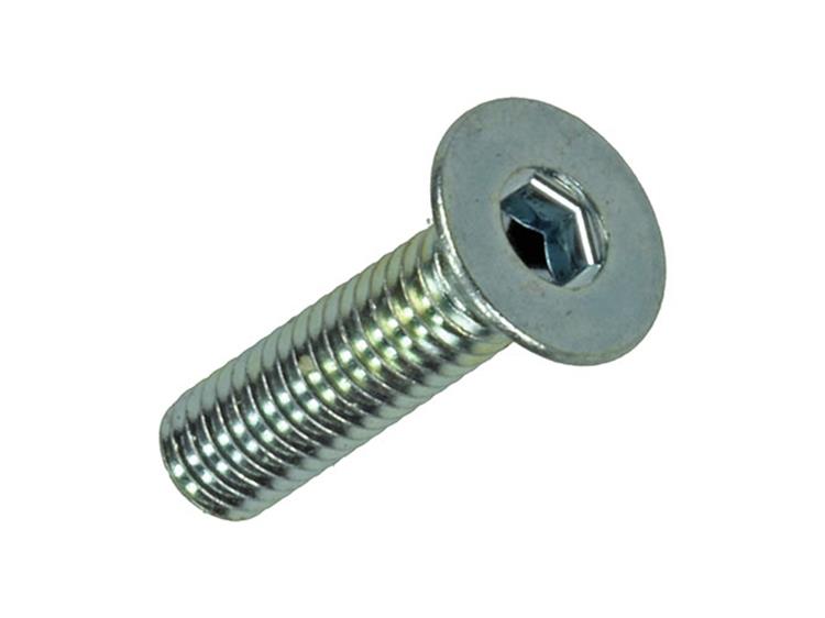 Mack 1017656 - binnenzeskant bout verz. kop verz. 12st m4x16 | 10 stuks