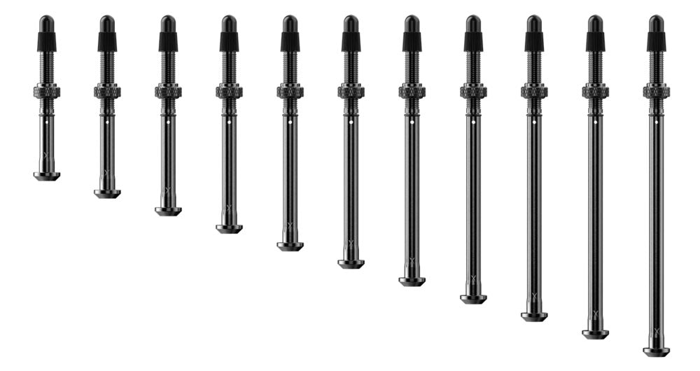 Quarq tyrewiz 2.0 tyre pressure valves 2 pieces | length a