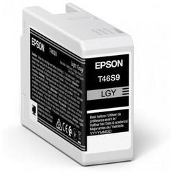 Epson origineel inktcartridge ultrachrome pro 10 c13t46s900 licht grijs