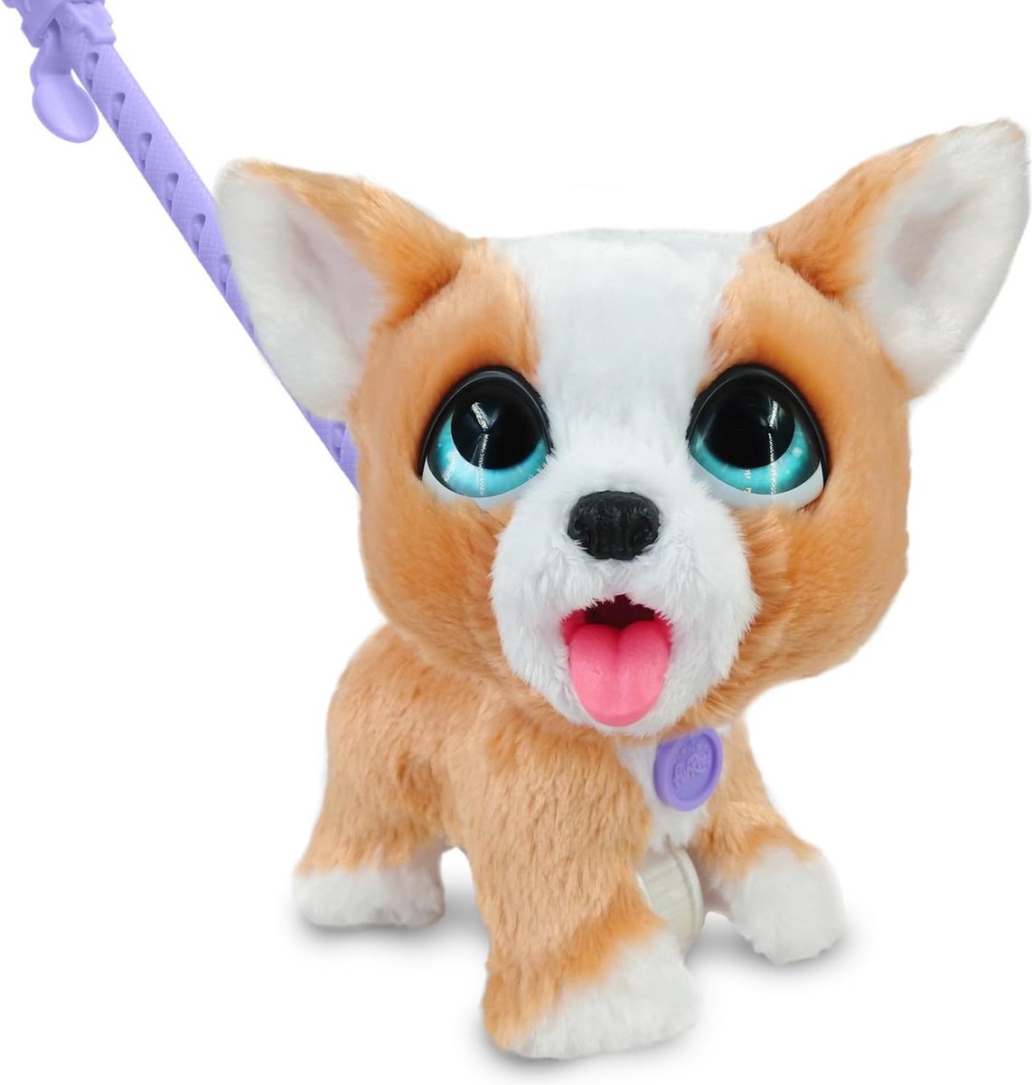 Spectron furreal poep een heleboel corgi