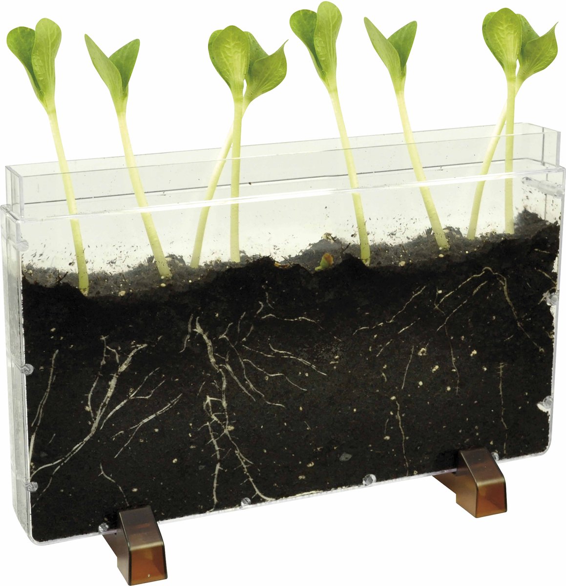 Weplay eduplay wortelhuis - educatief wormenhotel voor kinderen.