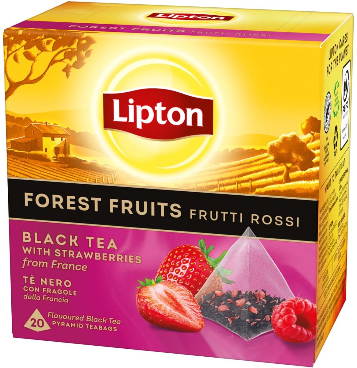 Lipton forest fruit tea - 80 theezakjes piramid - zwarte thee bosvruchten - 4 x 20 zakjes - voordeelverpakking