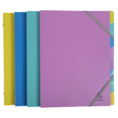 Sorteermap exacompta 56190e a4 kleurenassortiment