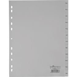 Maand-tabbladen durable 6507 12 tabs 11 gaten grijs