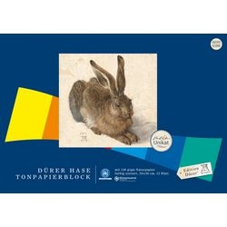 Knutselpapier staufen dürer 053524 130 g m² papier