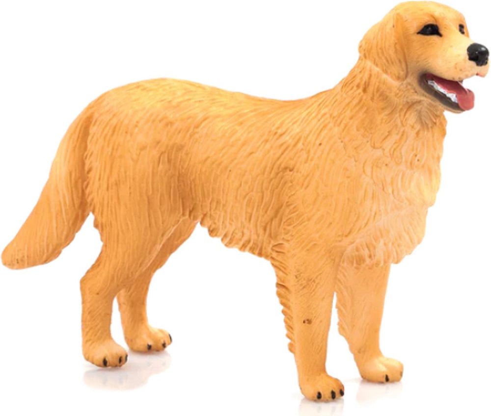 Mojo farmland golden retriever - 387198