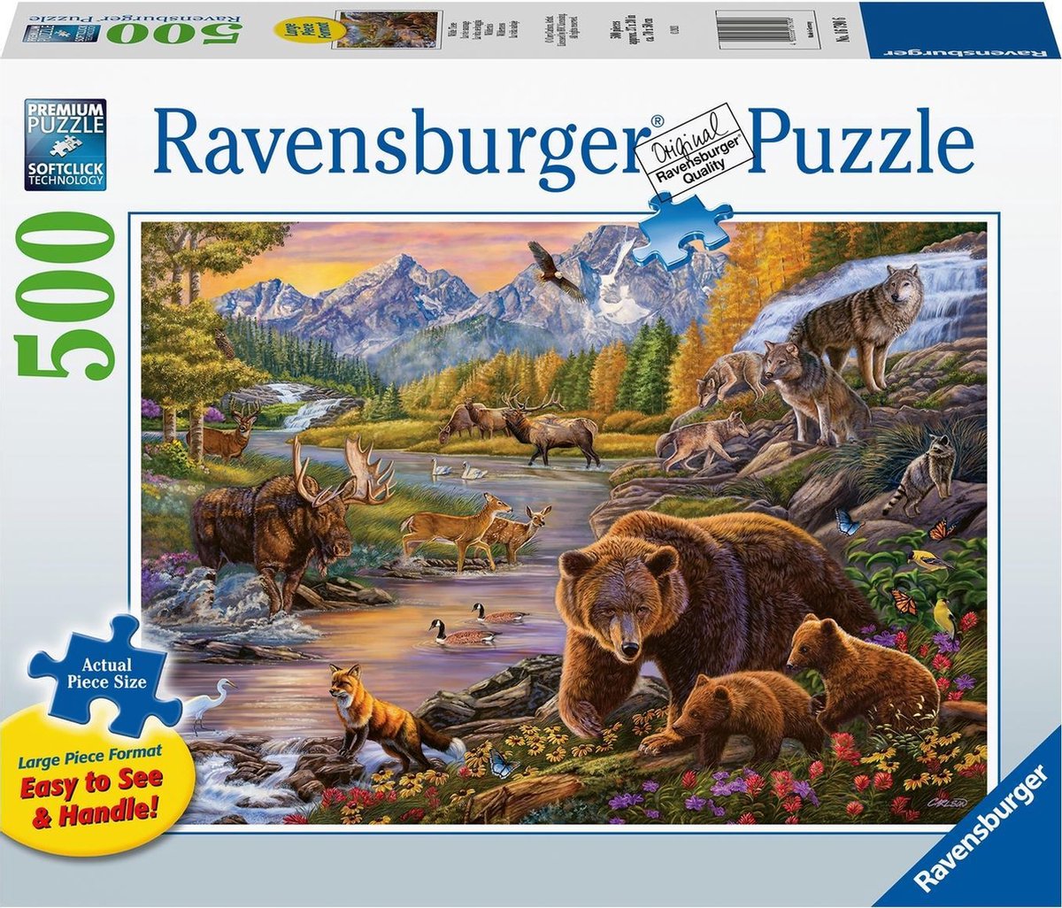 Ravensburgerwildernis, 500st.