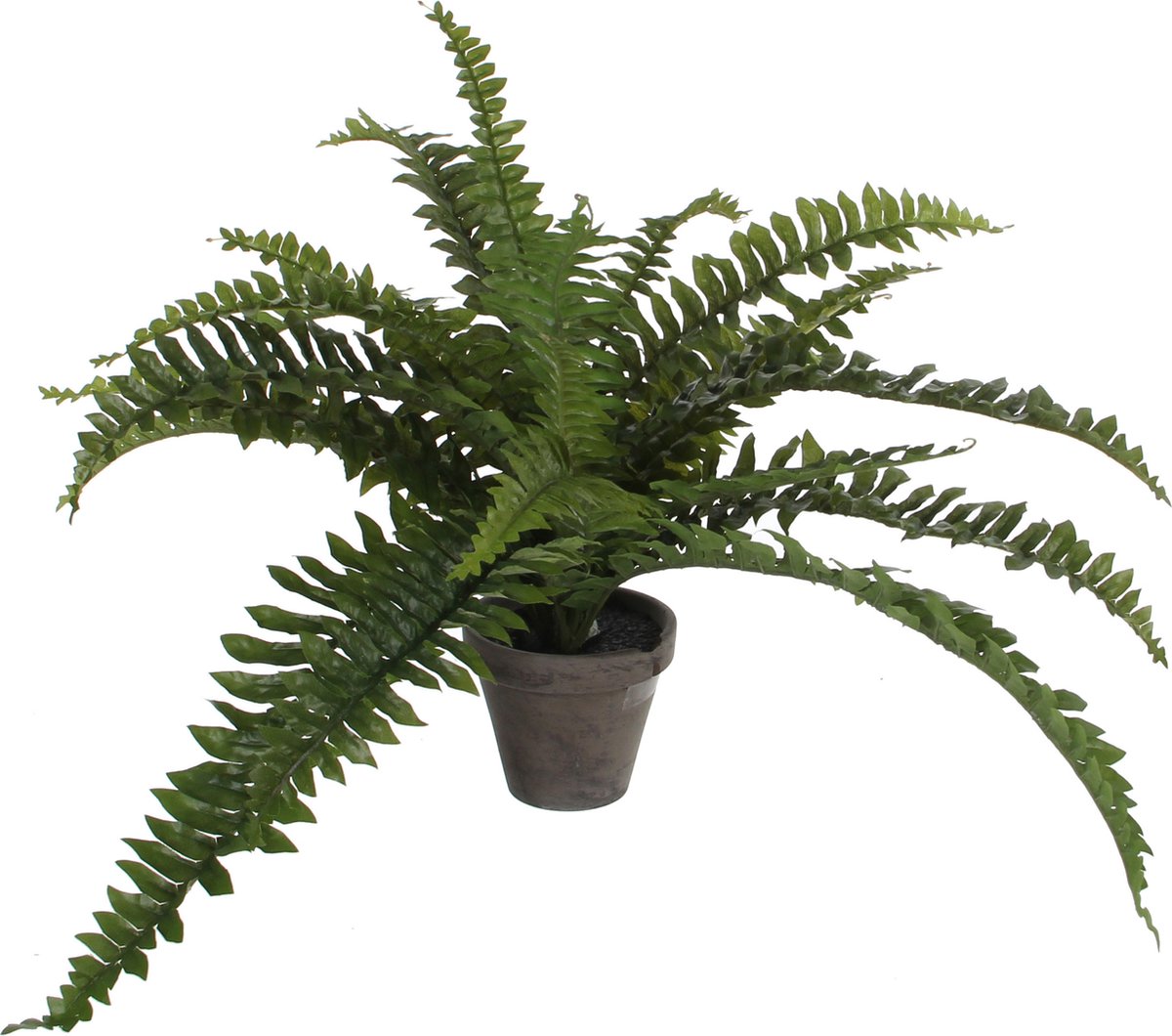 Mica decorations boston varen kunstplant kamerplant - groen - in pot - h35 cm x d45 cm
