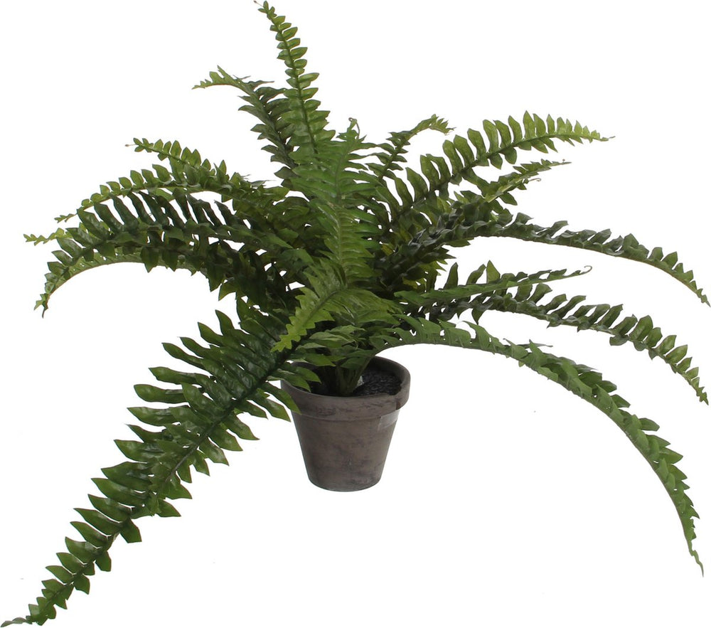 Mica decorations boston varen kunstplant kamerplant - groen - in pot - h35 cm x d45 cm
