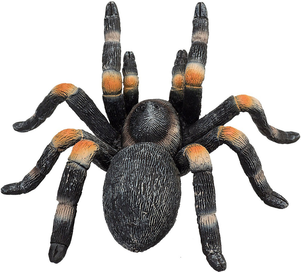 Mojo wildlife rode tarantula - 387213