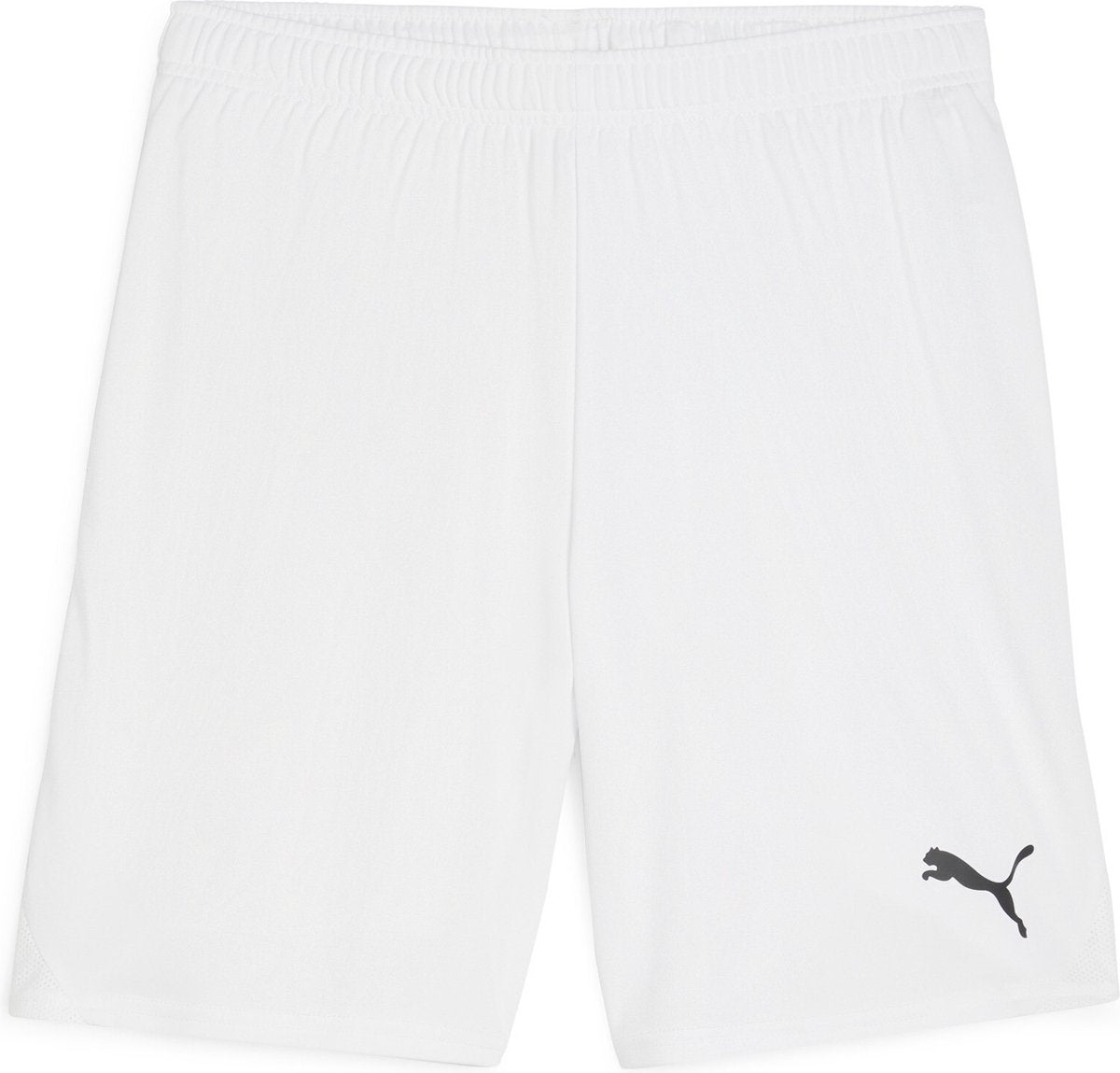 Puma teamgoal shorts heren sportbroek - white- black