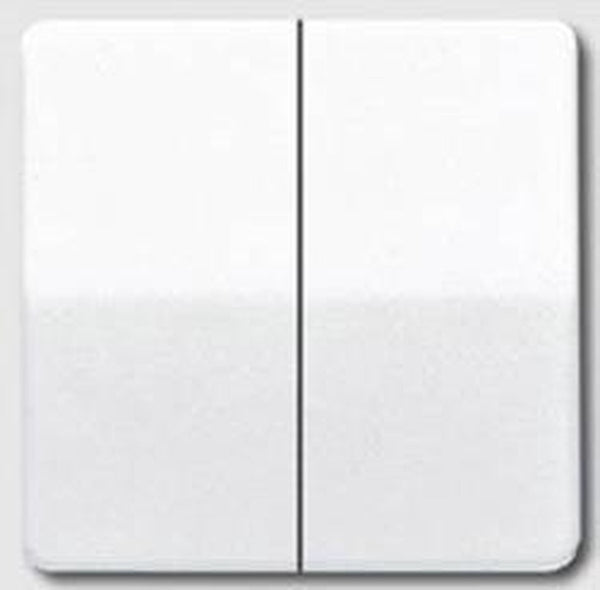 Jung cd500 schakelelement centrale plaat - cd595ww - e2v36
