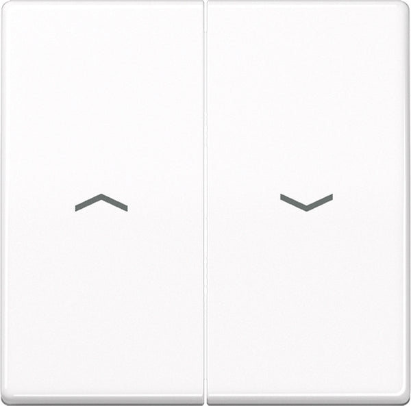 Jung as500 schakelelement centrale plaat - as591-5pww - e32r4