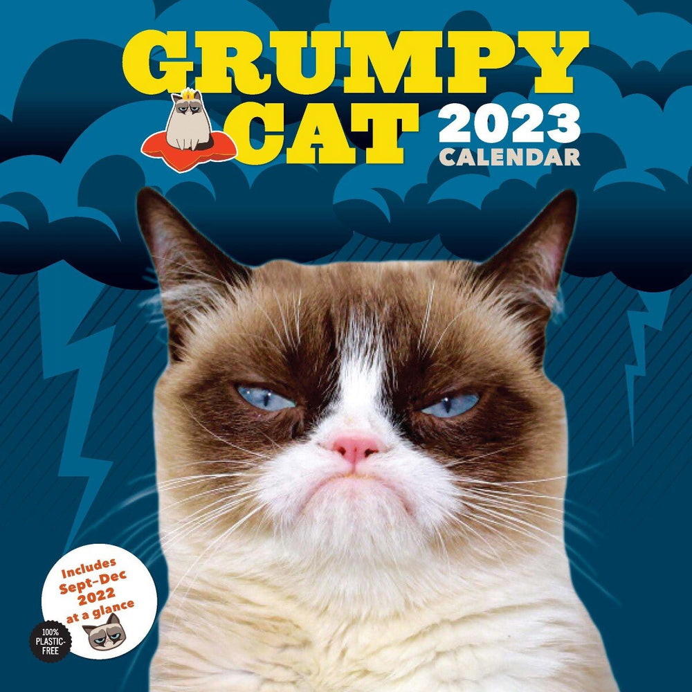 2023 wall calendar: grumpy cat