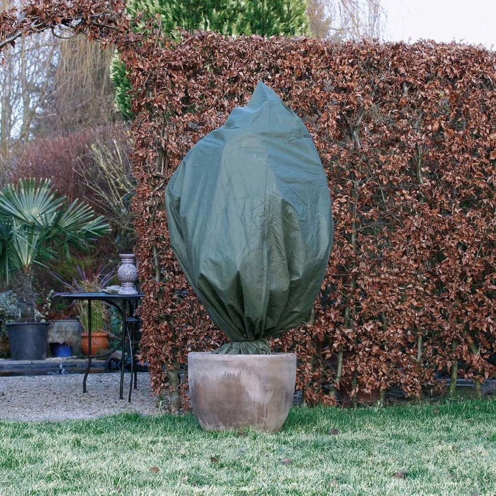 Natuur Winterafdekhoes met verbrand, voor grote meditatie