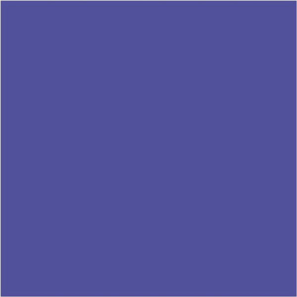 Edu3 edugreen jumbo kleurpotloden, violet, vulling 5 mm, 10 stuk 1 doos
