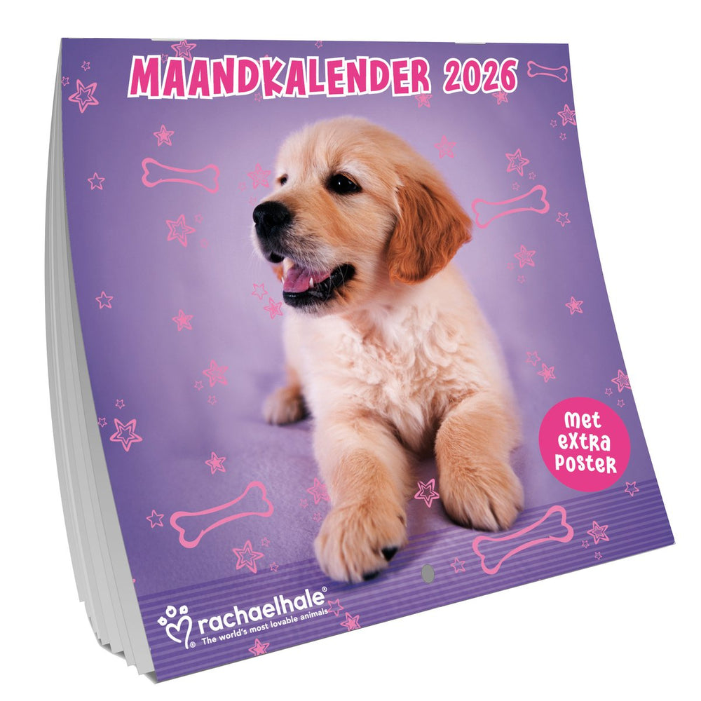 Interstat rachael hale honden kalender 2026