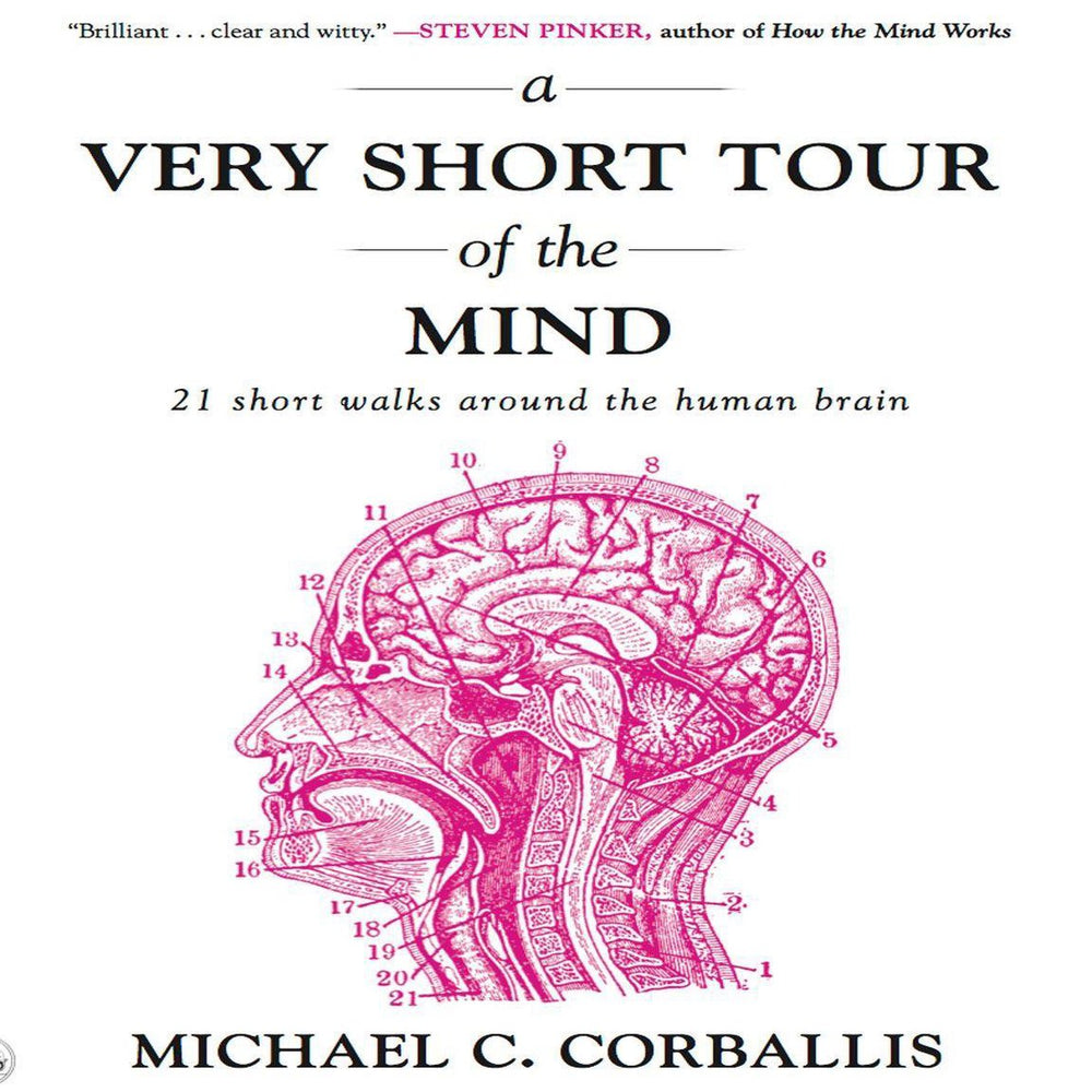 A very short tour the mind
