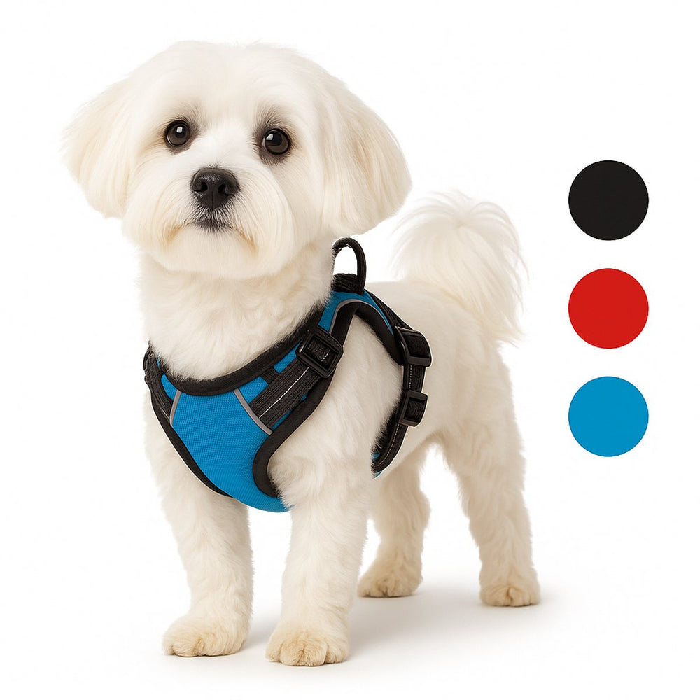 Flamingo harnas hond – honden tuigje – harnas hond anti trek – hondentuigjes – hondentuig anti trek – balou – blauw – maat s – a:31-55cm b:40-55cm