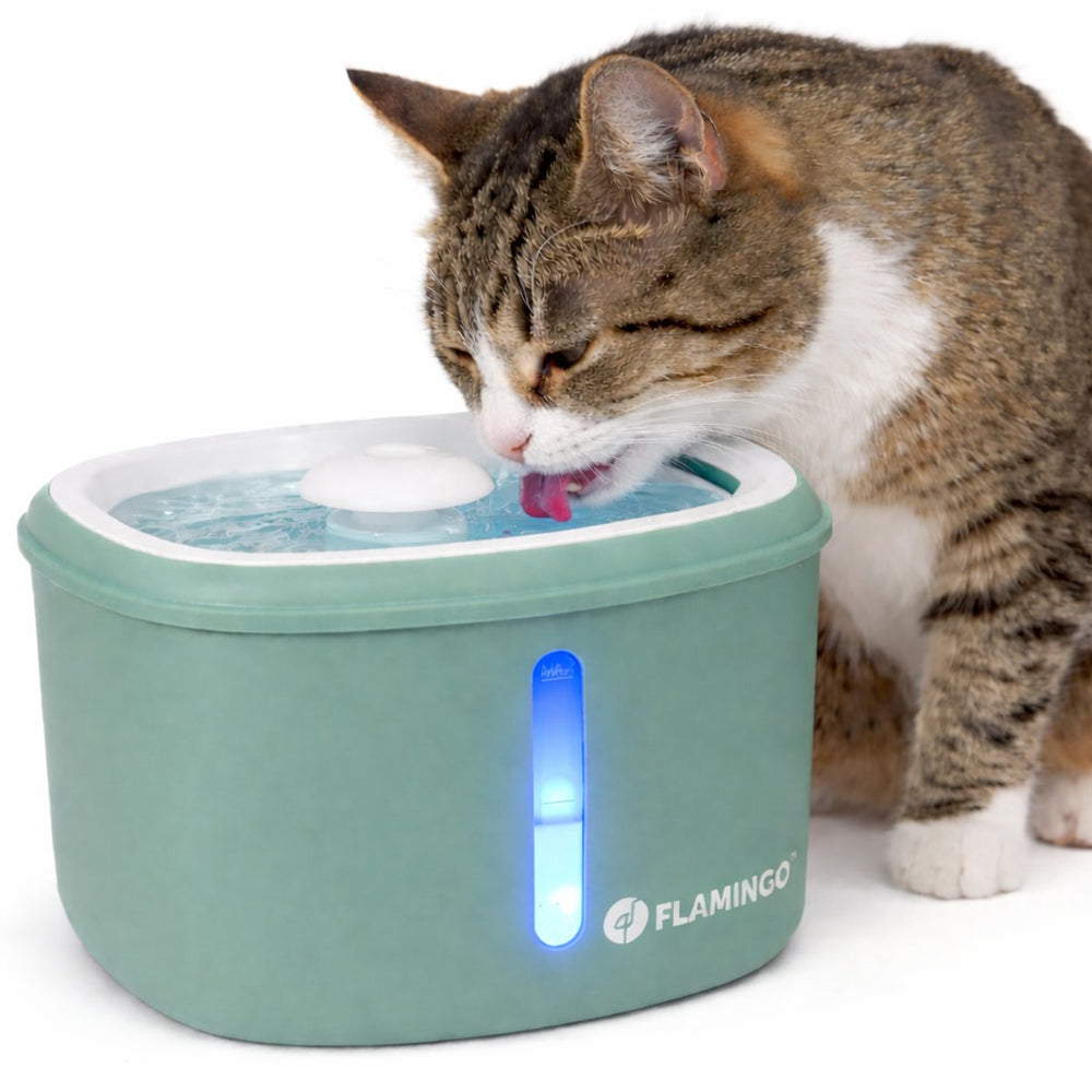 Flamingo drinkfontein kat – hond – 2,5l – groen – met koolstoffilter kunstharsfilter – stille pomp – lichtindicator – usb-kabel 150 cm – finto