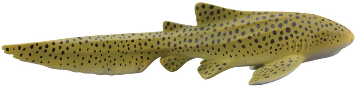 Collecta figurine - zebrahaai - (m) - zeedieren - handgeschilderd - miniatuur