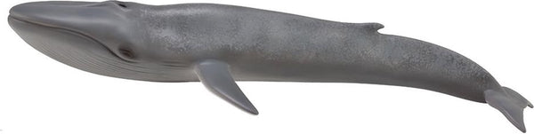 Collecta figurine - blauwe vinvis - (xl) - zeedieren - handgeschilderd - miniatuur