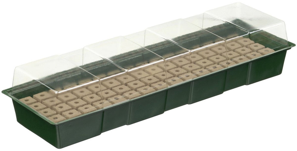Nature - kweekbak - met groeimedium - h10 x 49 x 15,5cm - 4 x 16 vakjes