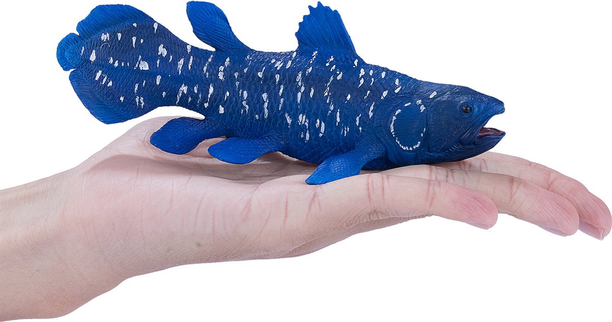 Mojo Sealife Coelacant 381050