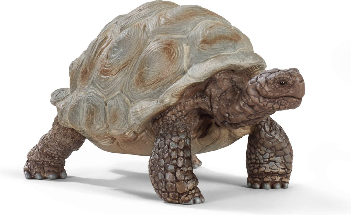 Schleich | 5 stuks