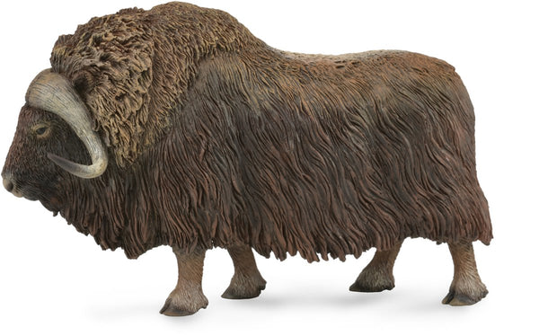 Collecta figurine - muskusos - (l) - wilde dieren - handgeschilderd - miniatuur